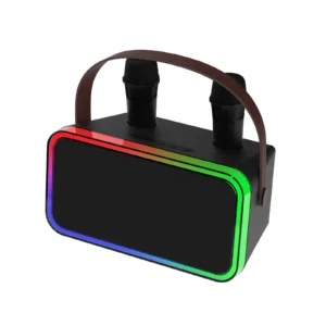 Portable Karaoke with Wireless Microphones